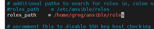 vim ansible.cfg